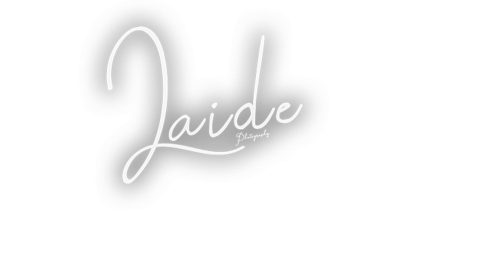 laidephotography.com favicon